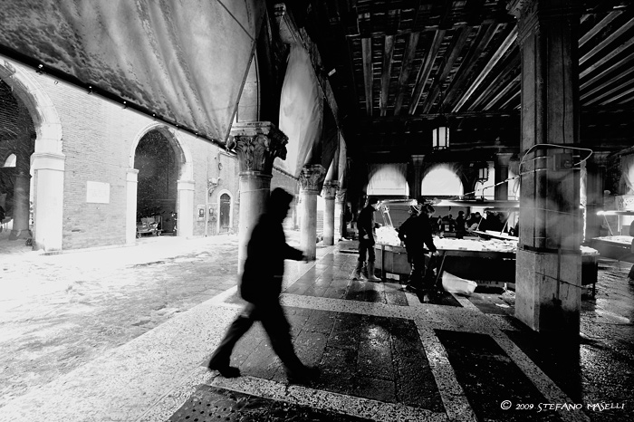 Copyright Stefano Maselli